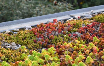 the cost of Prospidnick green roof installation