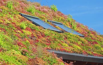 Prospidnick living roof systems
